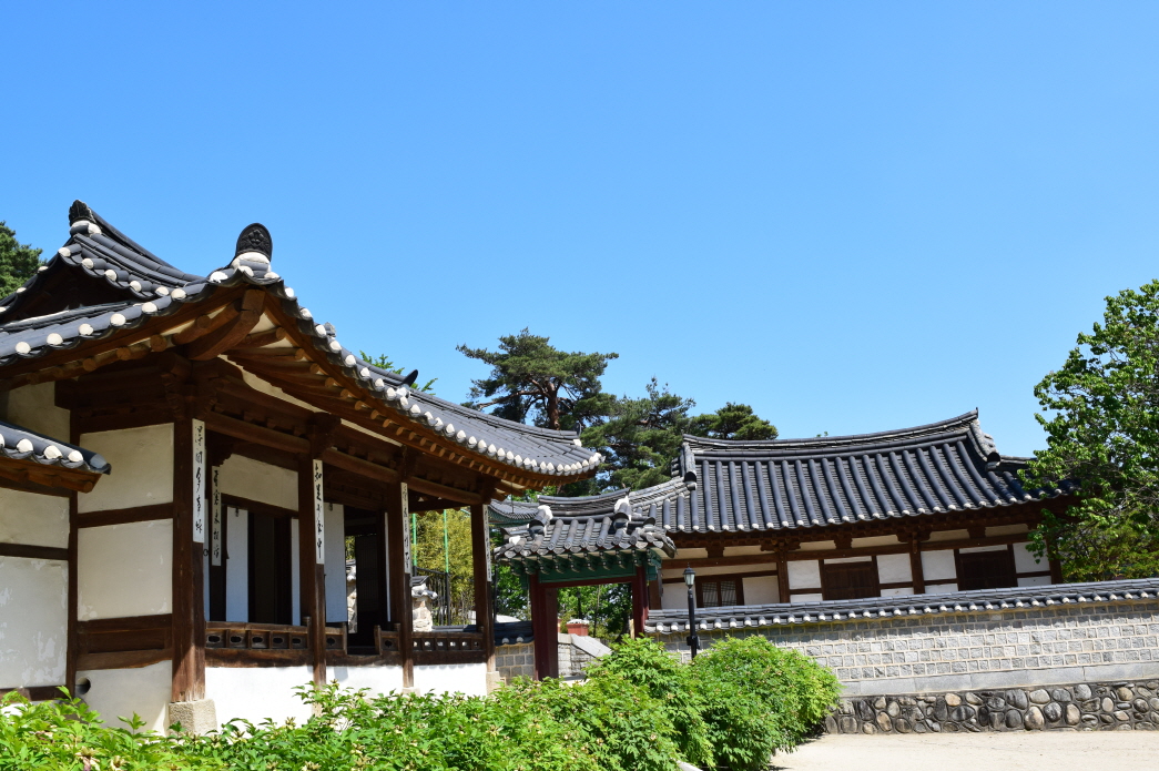 본문이미지